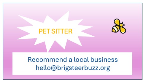 window cleaner business card