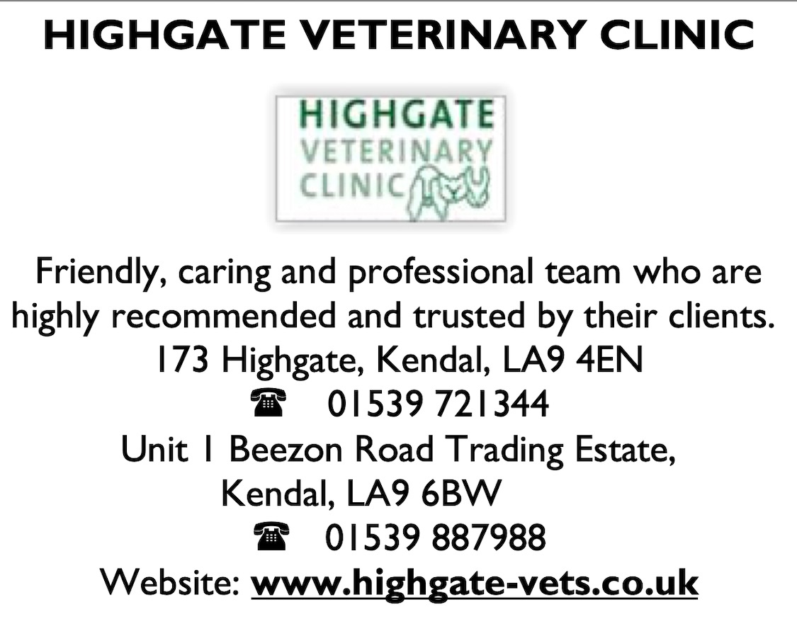highgate business card